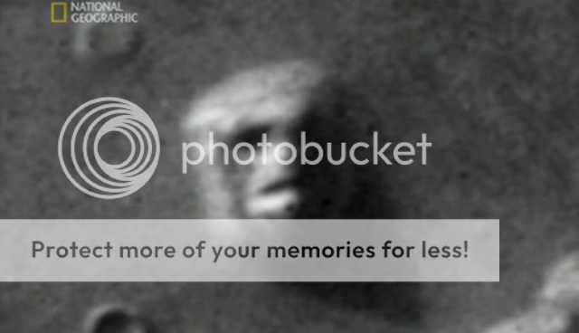 7 Signs Of The Apocalypse-(WTC-SWE)