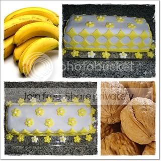 Photobucket Image Hosting