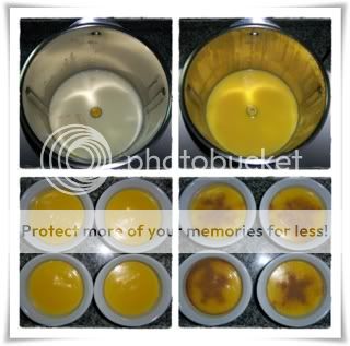 Creme Custard 2