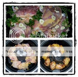 Frango frito 2