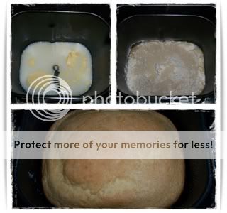 Pão de Sanduiche MFP2