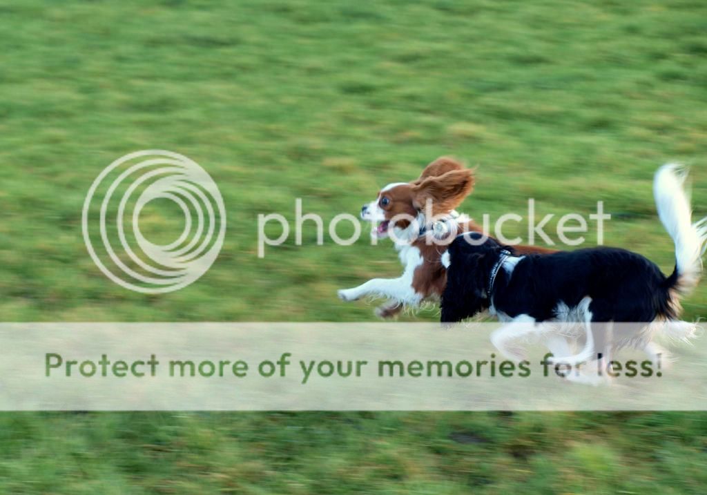 UffeogAya025.jpg~original