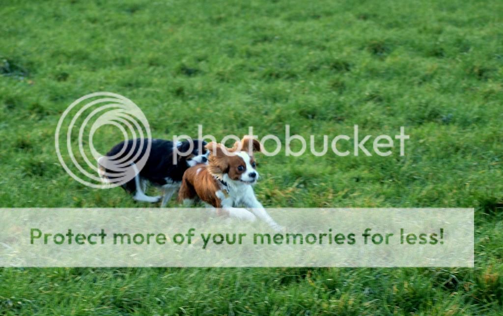 UffeogAya028.jpg~original