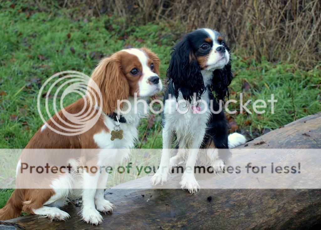 UffeogAya037.jpg~original