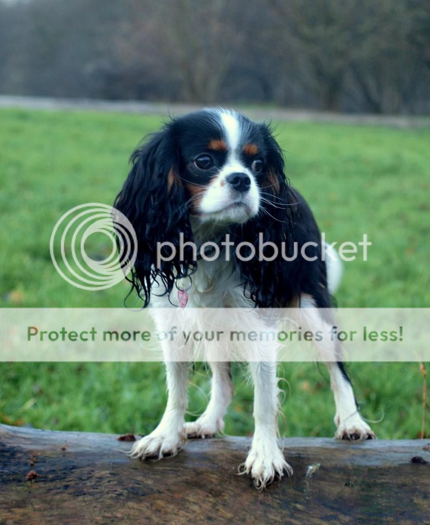 UffeogAya045.jpg~original