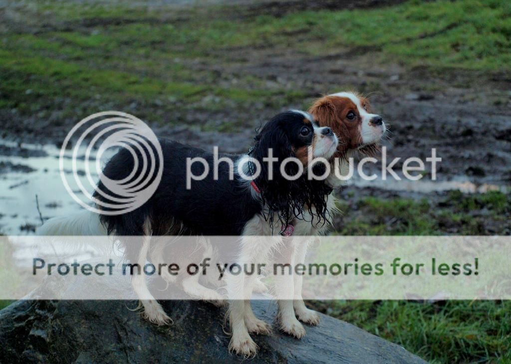 UffeogAya111.jpg~original