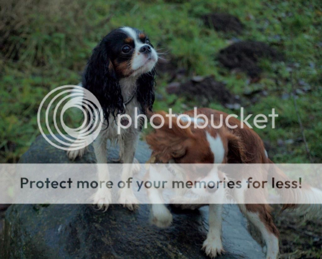 UffeogAya119.jpg~original