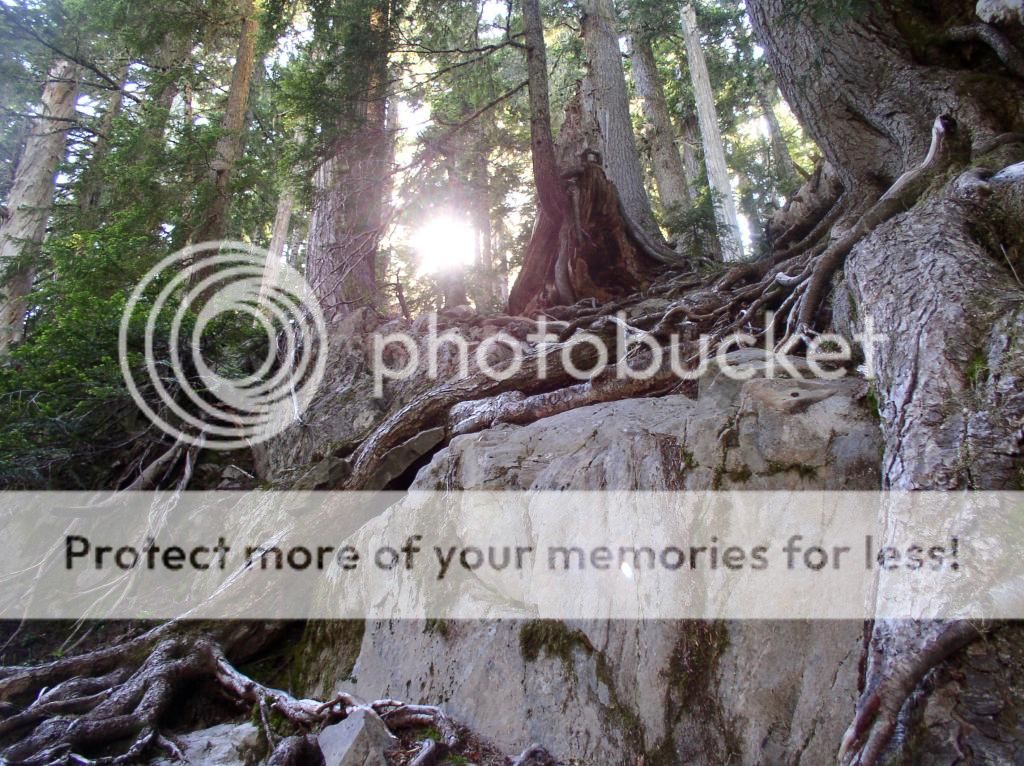 Lake of the Angels hike/camping (pics) Northwest Fishing Board