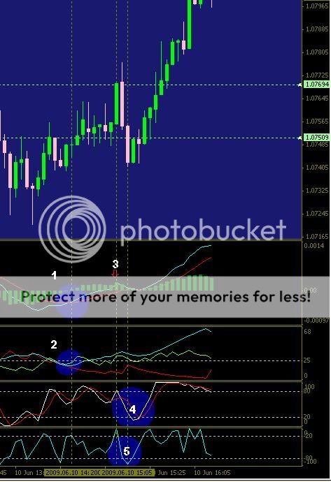 Forexindo indonesia