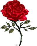 thdied_rose.gif