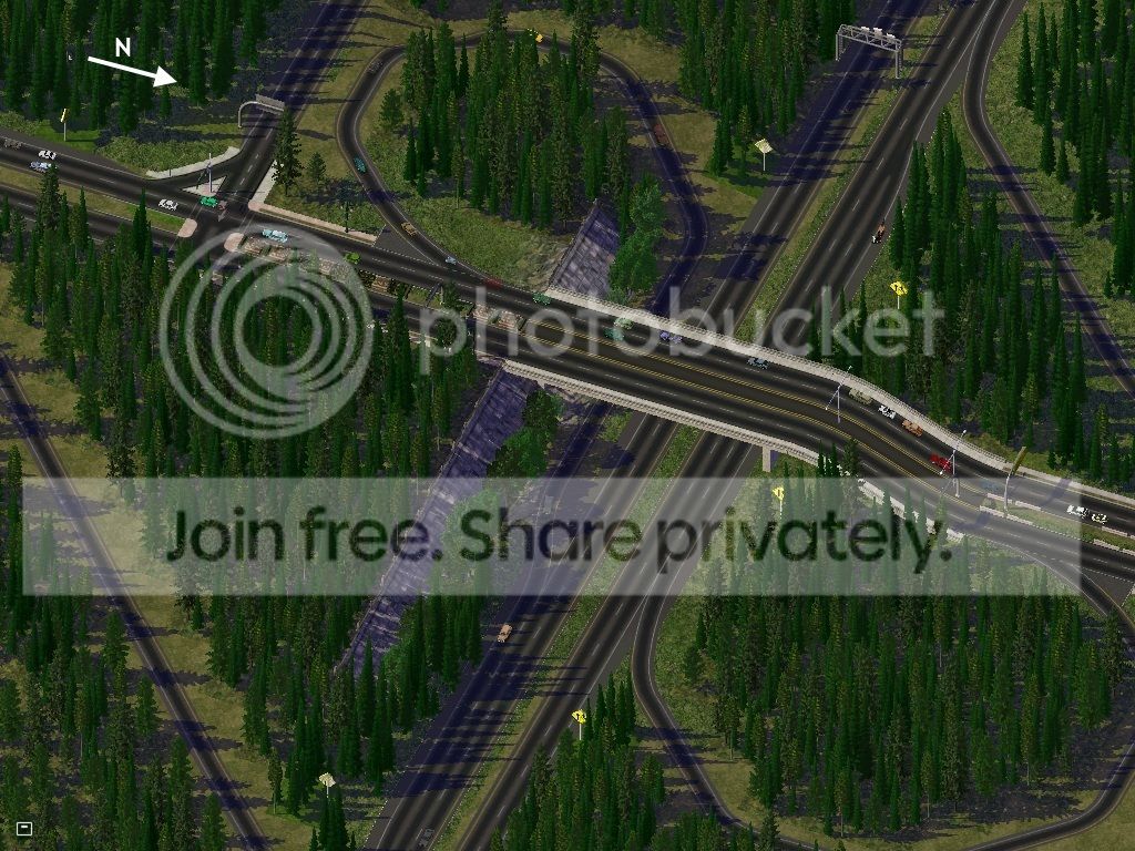 D.jpg