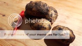 jirpelslyts_zpsqn9kg86i.jpg