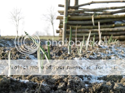 knyflok3c_zpshukpr92c.jpg